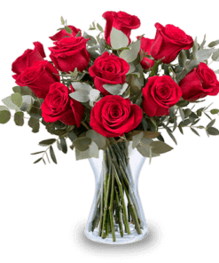 Amour infini : 12 fleurs rouges