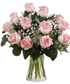 Secrets Roses : 12 Roses Roses