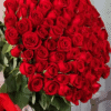 101 roses rouges