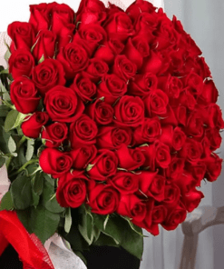 101 roses rouges