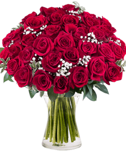 I Love You : 35 Roses Rouges