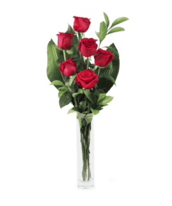 Déclaration: 6 Roses Rouges