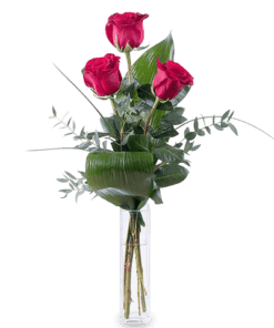 Je t'aime : 3 Roses Rouges