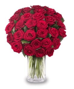 Ivresse d'Amour : 30 Roses Rouges