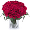 Livraison Bouquet de Fleurs Maroc